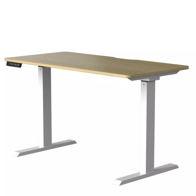 Електричний підйомний стіл з двома двигуном