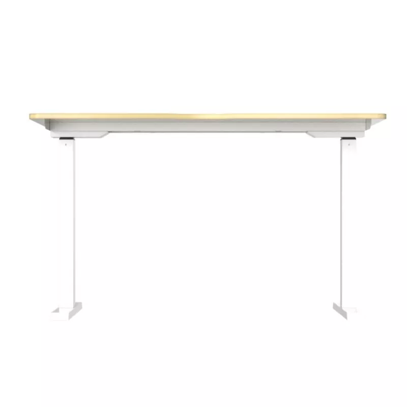 Електричний підйомний стіл з двома двигуном